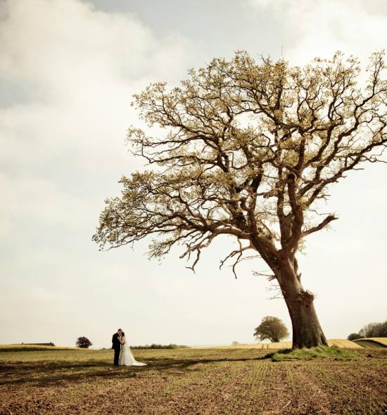 Outdoor event with fairy lights, elegant seating, and a stunning sunset backdrop